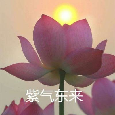 dnf时装模拟器手机版下载